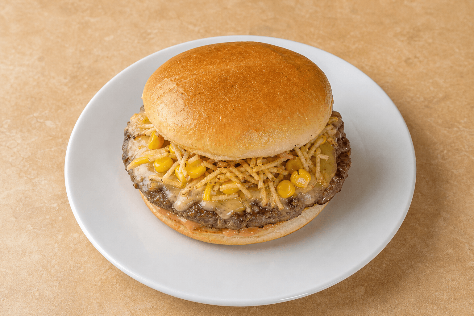 Photorealistic Brazilian X-burger style 154 P09 food image by VDAMO