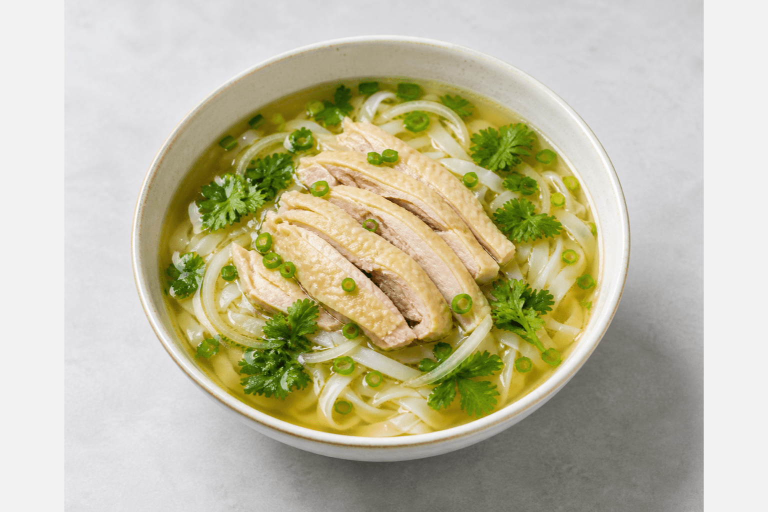Photorealistic Pho ga menu-main p04 food image by VDAMO