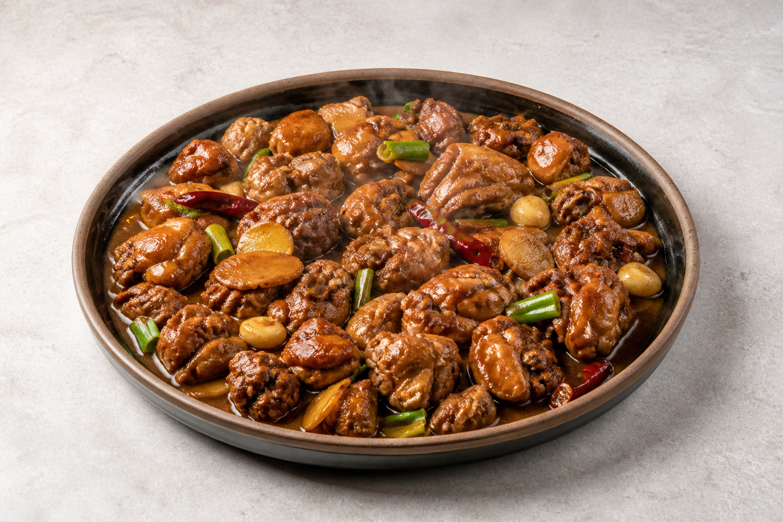Northeast Chinese soy braised chicken P10 — China dish
