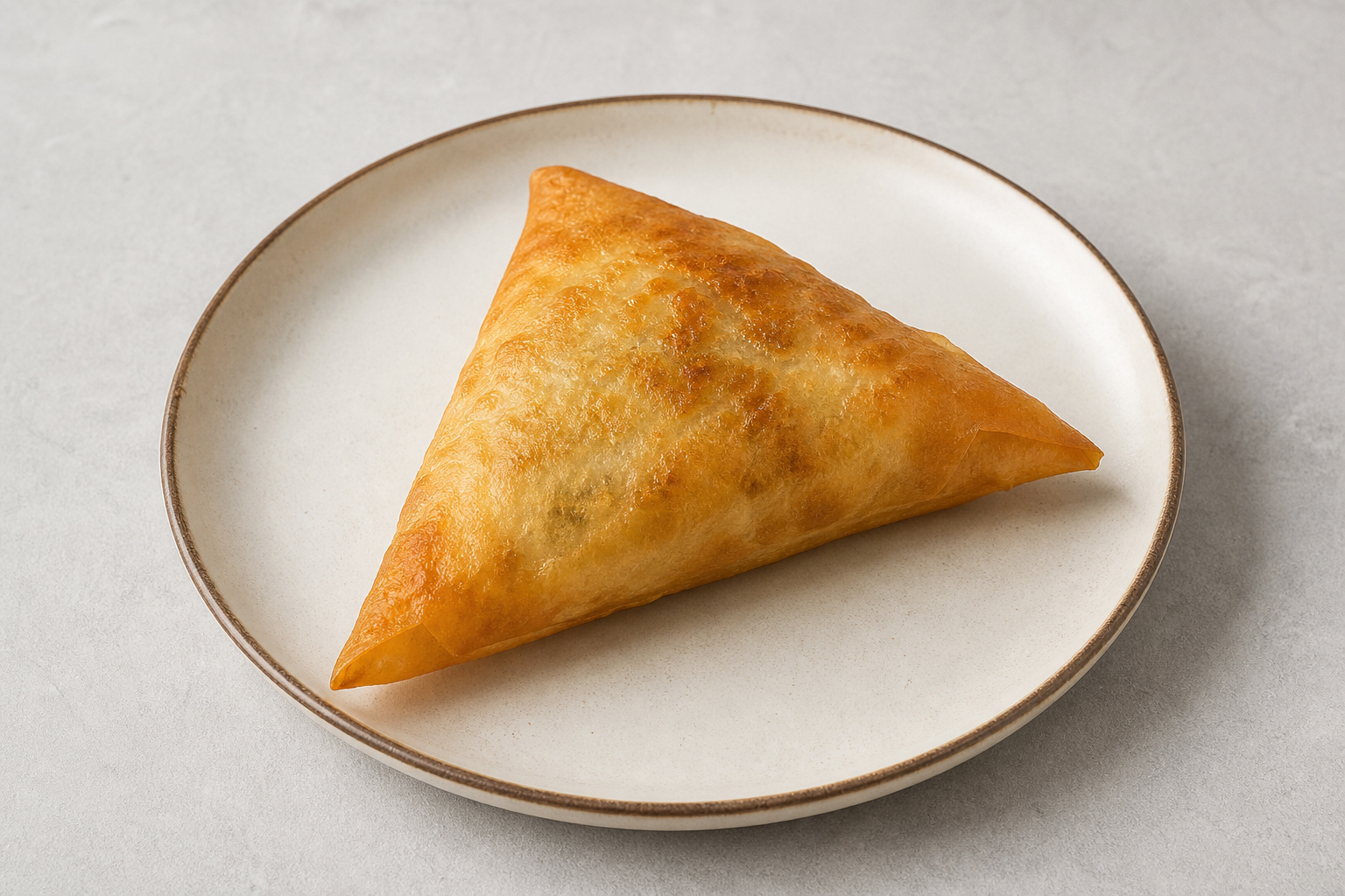 Tunisian brik P06 — dish