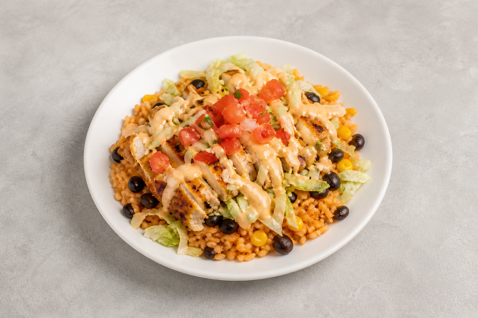 US Signature rice plate mexican P09 — United States dish